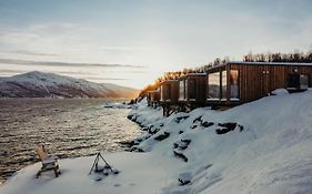 Aurora Fjord Cabins